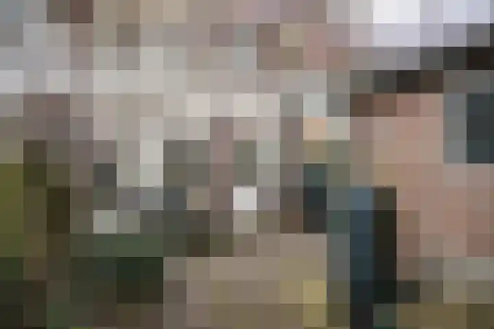 Chopinstraat 43 Utrecht thumbnail 30