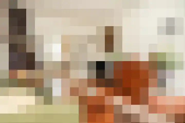 Chopinstraat 43 Utrecht thumbnail 9