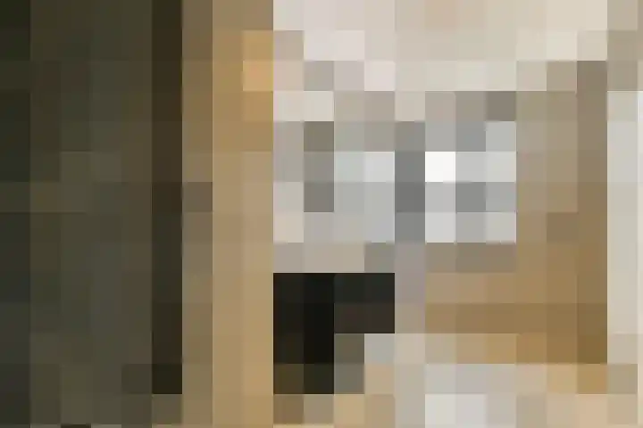 Chopinstraat 44 B Vlaardingen thumbnail 13