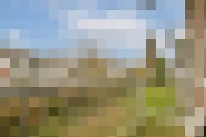 Chopinstraat 44 B Vlaardingen thumbnail 17