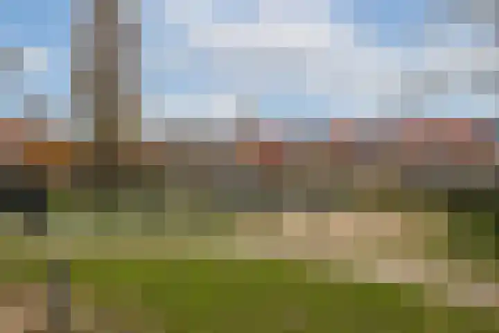 Chopinstraat 44 B Vlaardingen thumbnail 23