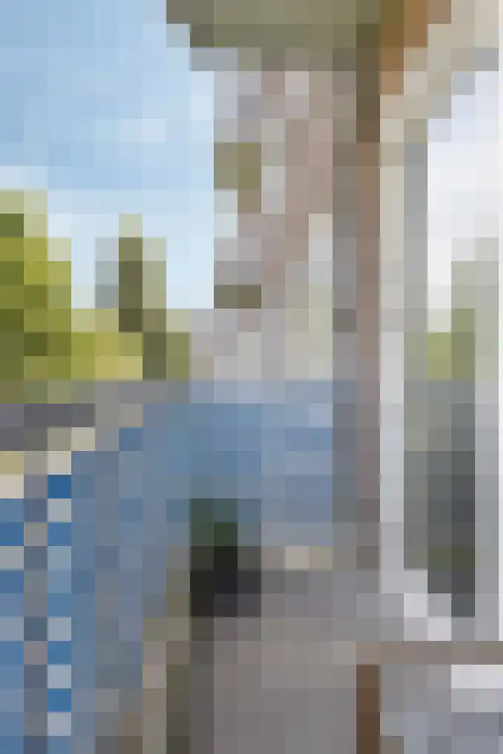 Chopinstraat 46 A Vlaardingen thumbnail 19
