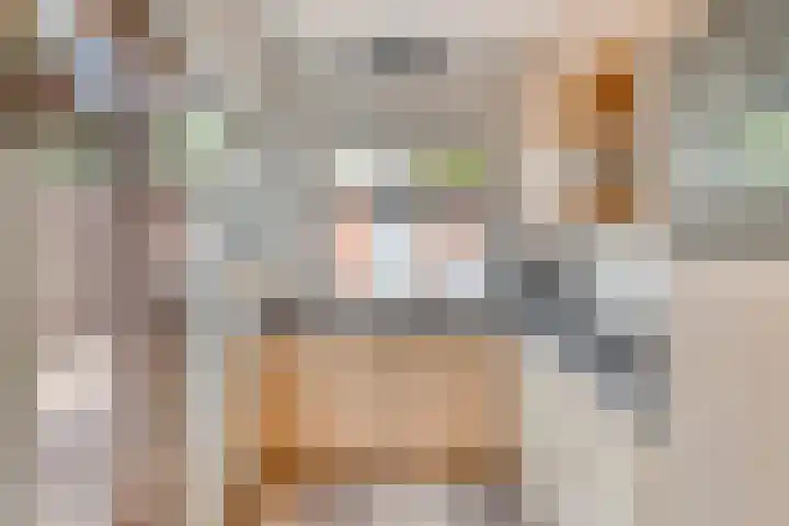 Chopinstraat 47 Drunen thumbnail 11