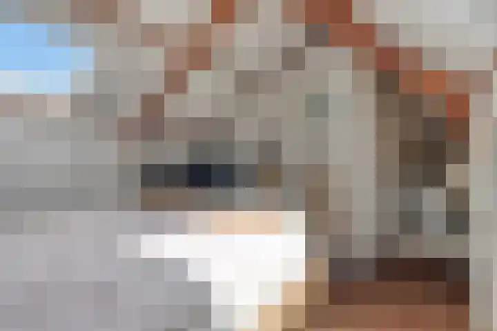 Chopinstraat 47 Drunen thumbnail 29