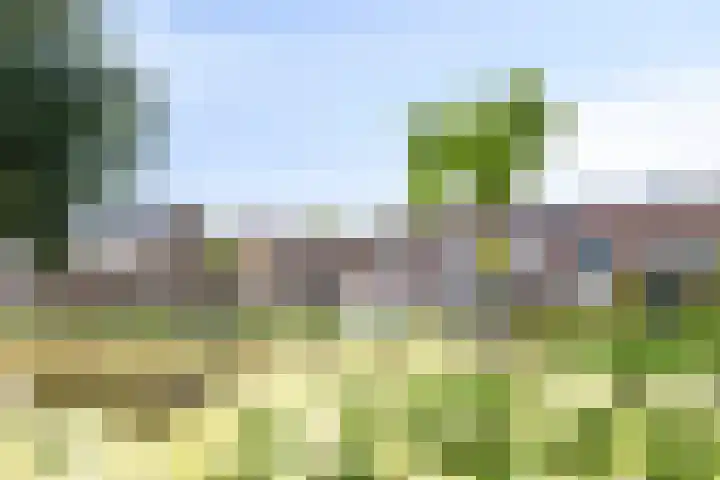 Chopinstraat 47 Drunen thumbnail 31