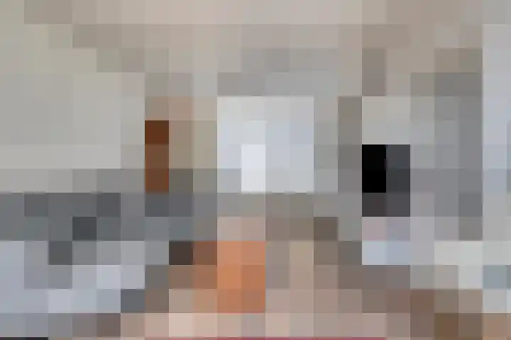 Chopinstraat 47 Drunen thumbnail 5