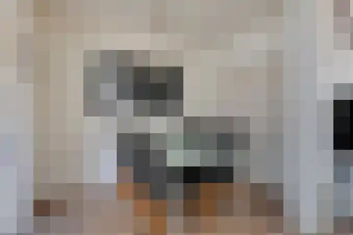 Chopinstraat 47 Drunen thumbnail 9