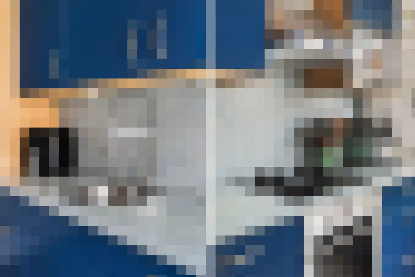 Chopinstraat 5 B Vlaardingen thumbnail 15