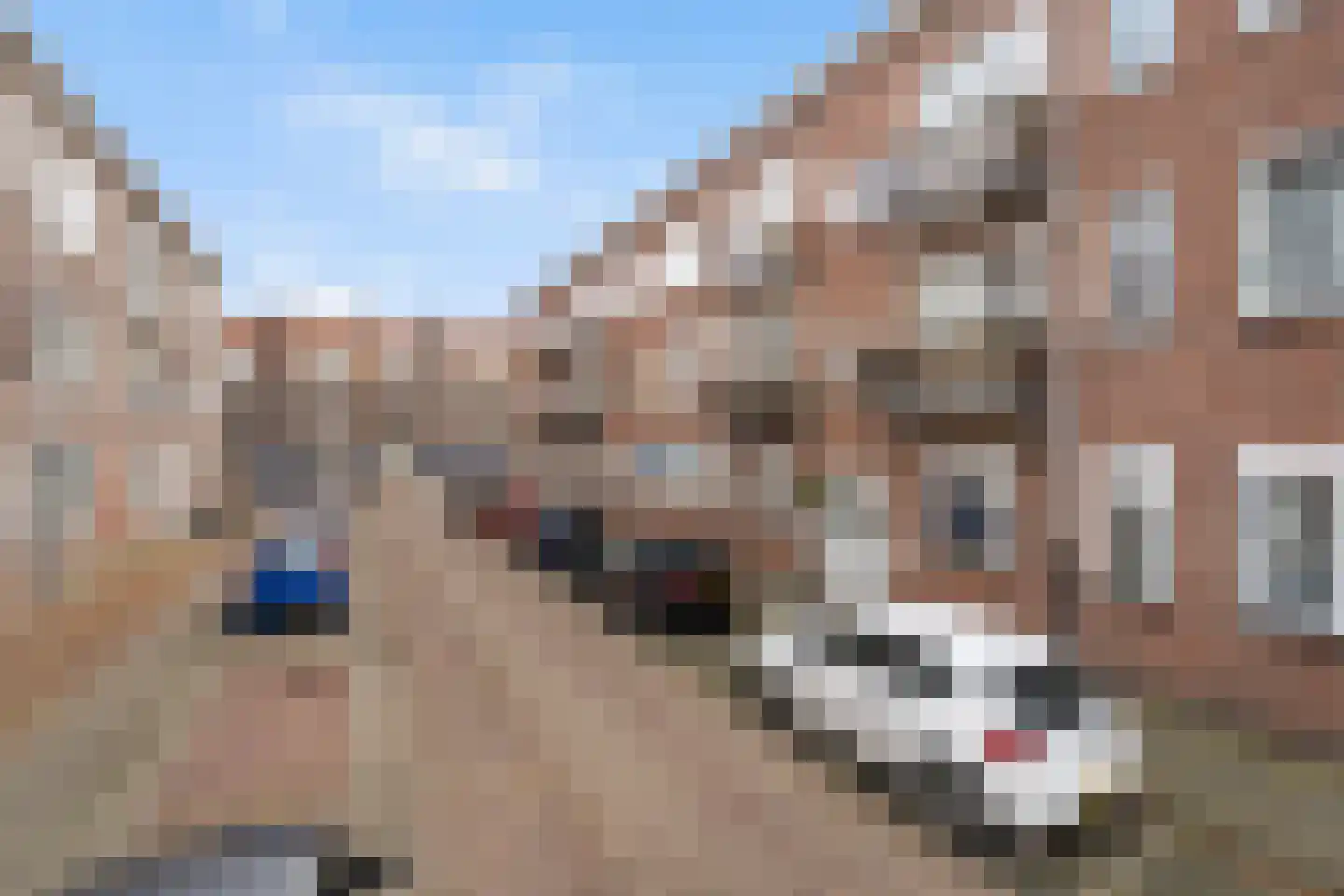 Chopinstraat 5 B Vlaardingen thumbnail 34