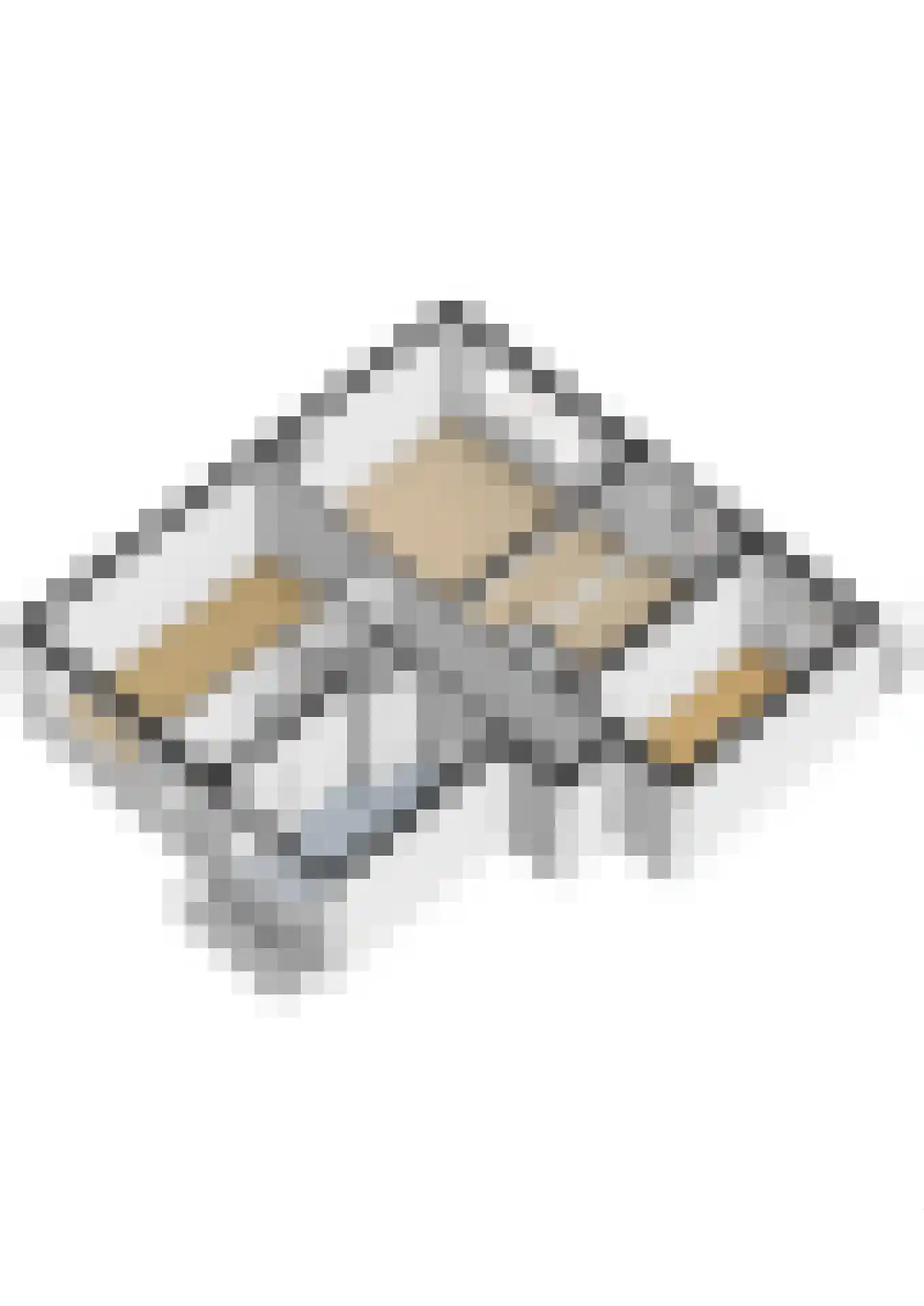 Chopinstraat 5 B Vlaardingen thumbnail 39