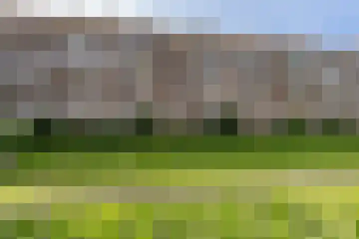 Chopinstraat 5 C Vlaardingen thumbnail 19
