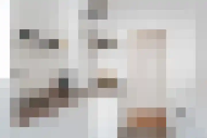Chopinstraat 5 C Vlaardingen thumbnail 20