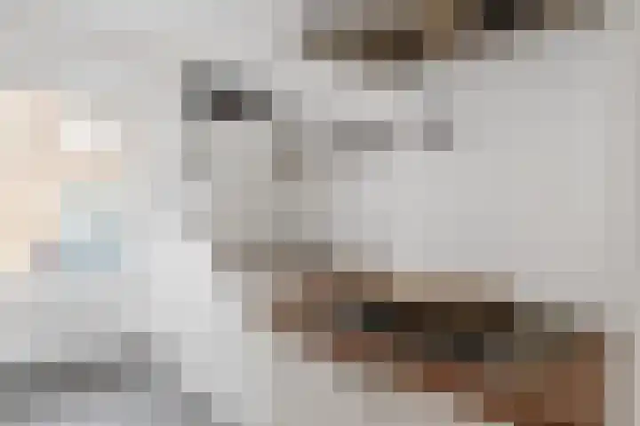 Chopinstraat 5 C Vlaardingen thumbnail 22