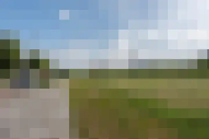 Chopinstraat 5 C Vlaardingen thumbnail 24