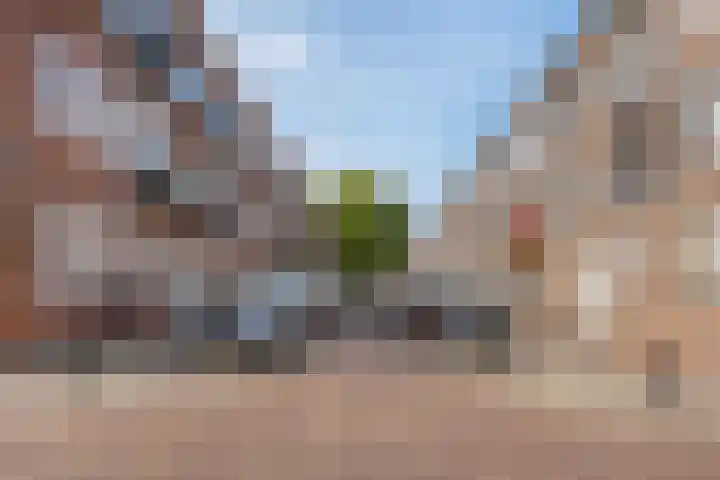 Chopinstraat 5 C Vlaardingen thumbnail 5