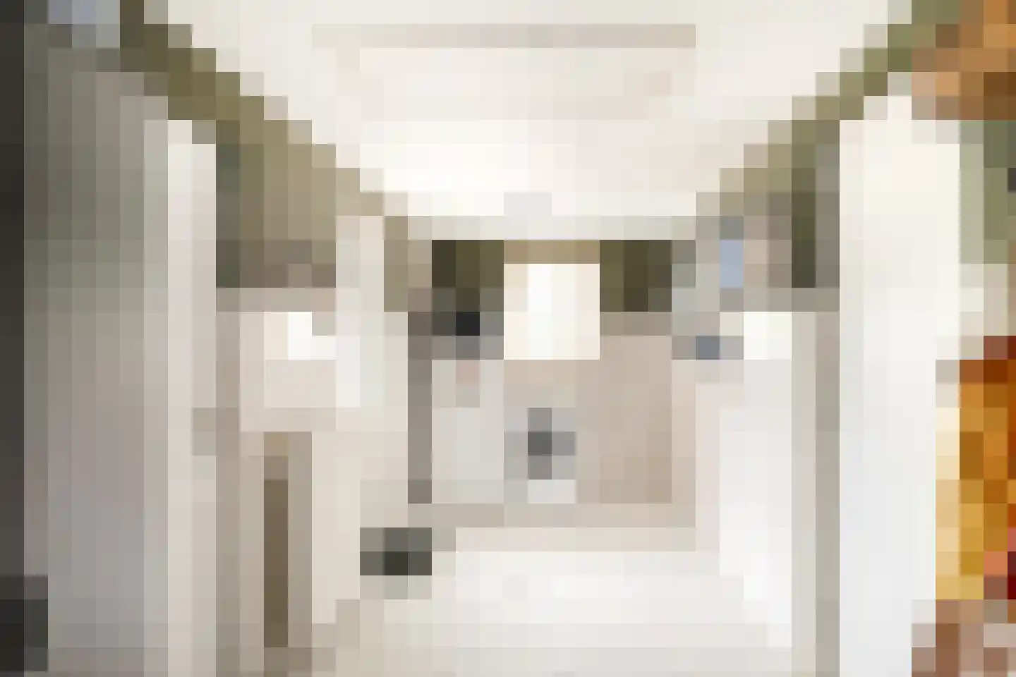 Chopinstraat 5 Losser thumbnail 18