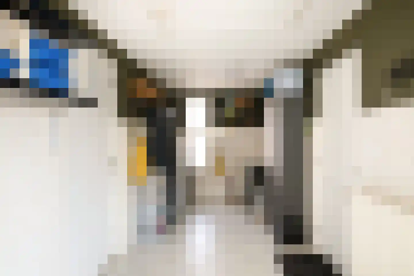 Chopinstraat 5 Losser thumbnail 19