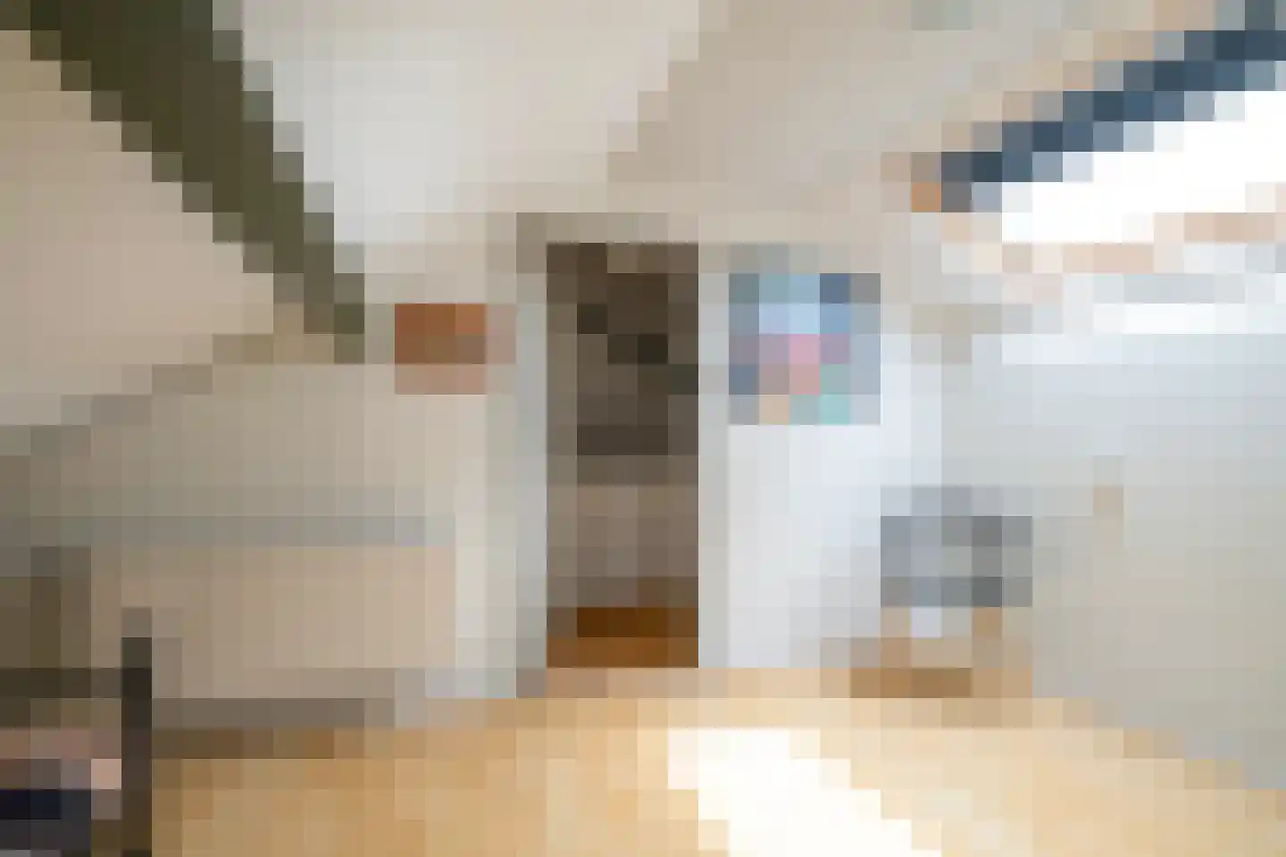 Chopinstraat 5 Losser thumbnail 32