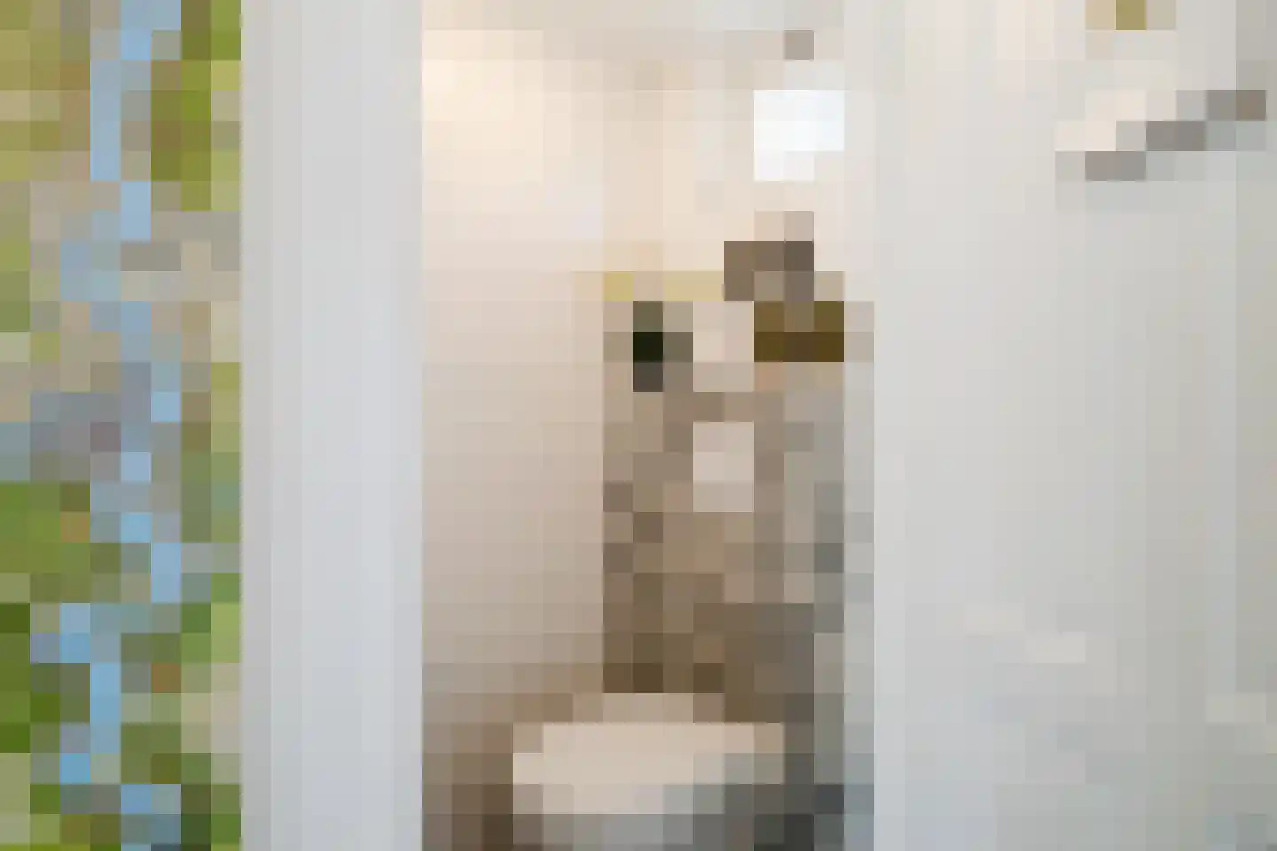 Chopinstraat 5 Losser thumbnail 6