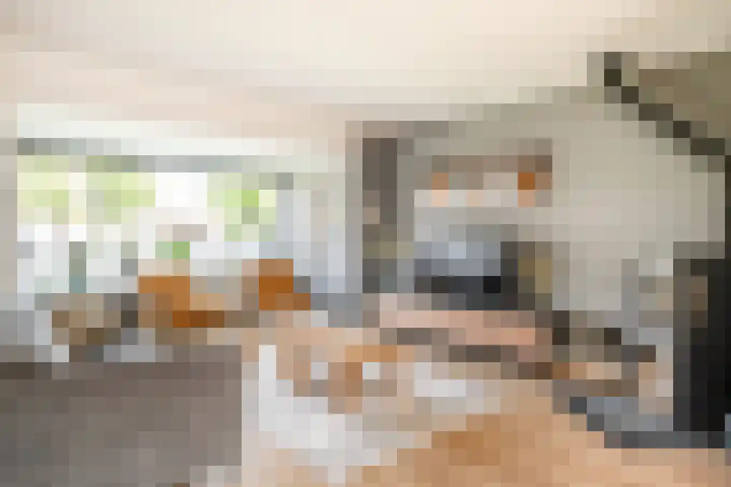 Chopinstraat 5 Losser thumbnail 8