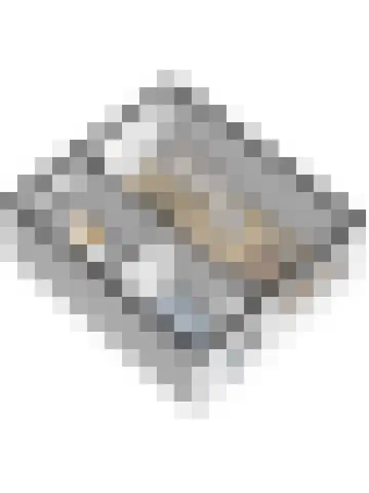 Chopinstraat 5 Zaltbommel thumbnail 35
