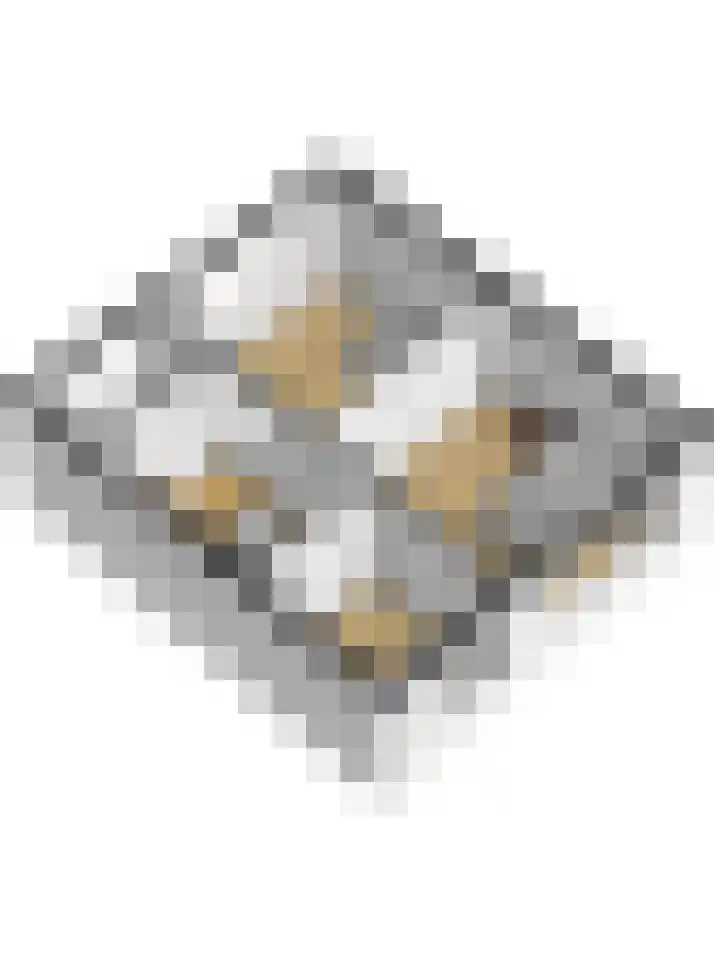 Chopinstraat 5 Zaltbommel thumbnail 36