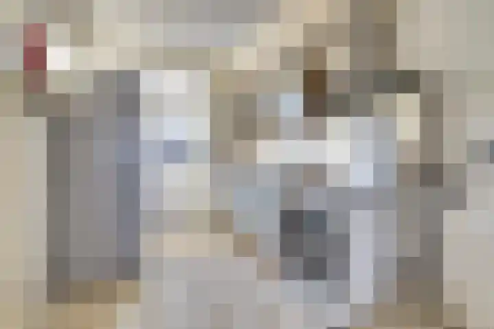 Chopinstraat 5 Zaltbommel thumbnail 8