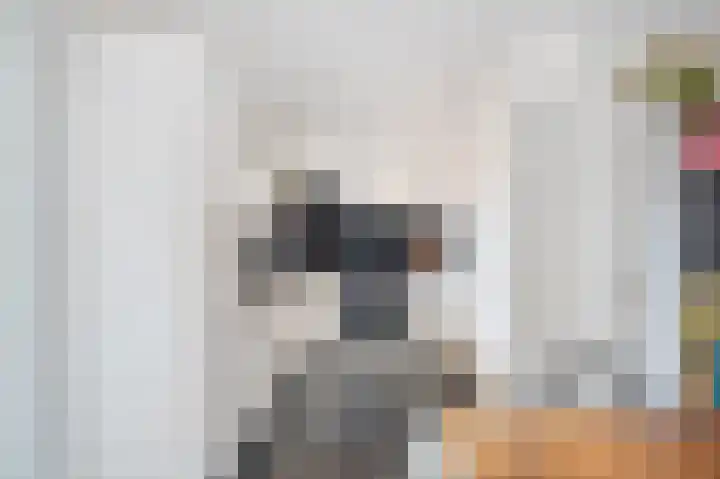 Chopinstraat 50 Schijndel thumbnail 10