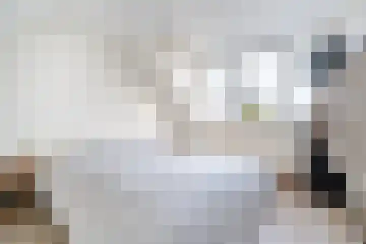 Chopinstraat 50 Schijndel thumbnail 25