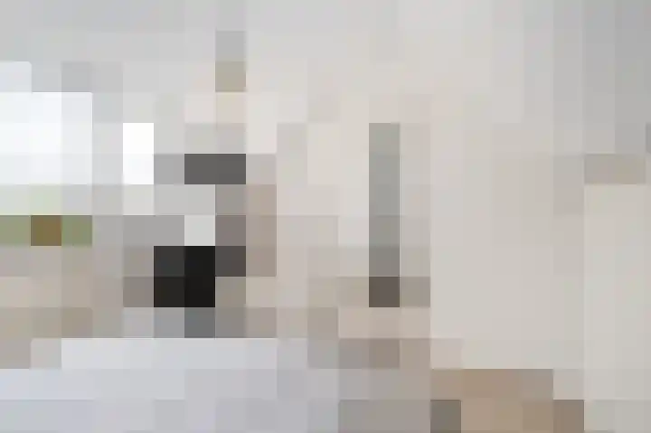 Chopinstraat 50 Schijndel thumbnail 26