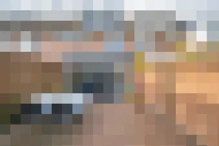 Chopinstraat 50 Schijndel thumbnail 4