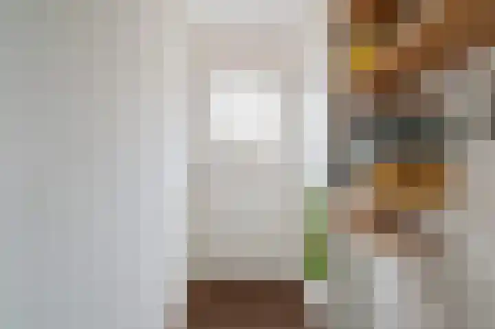 Chopinstraat 50 Schijndel thumbnail 5