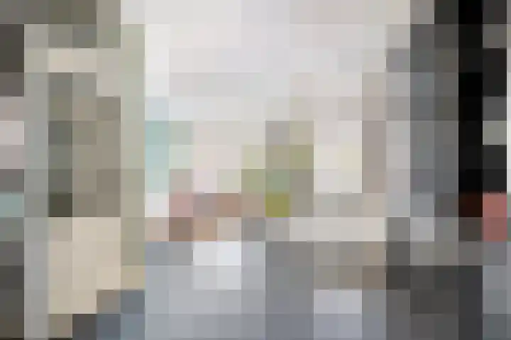 Chopinstraat 50 Schijndel thumbnail 6