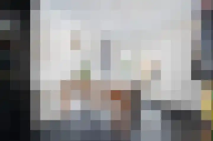 Chopinstraat 50 Schijndel thumbnail 8