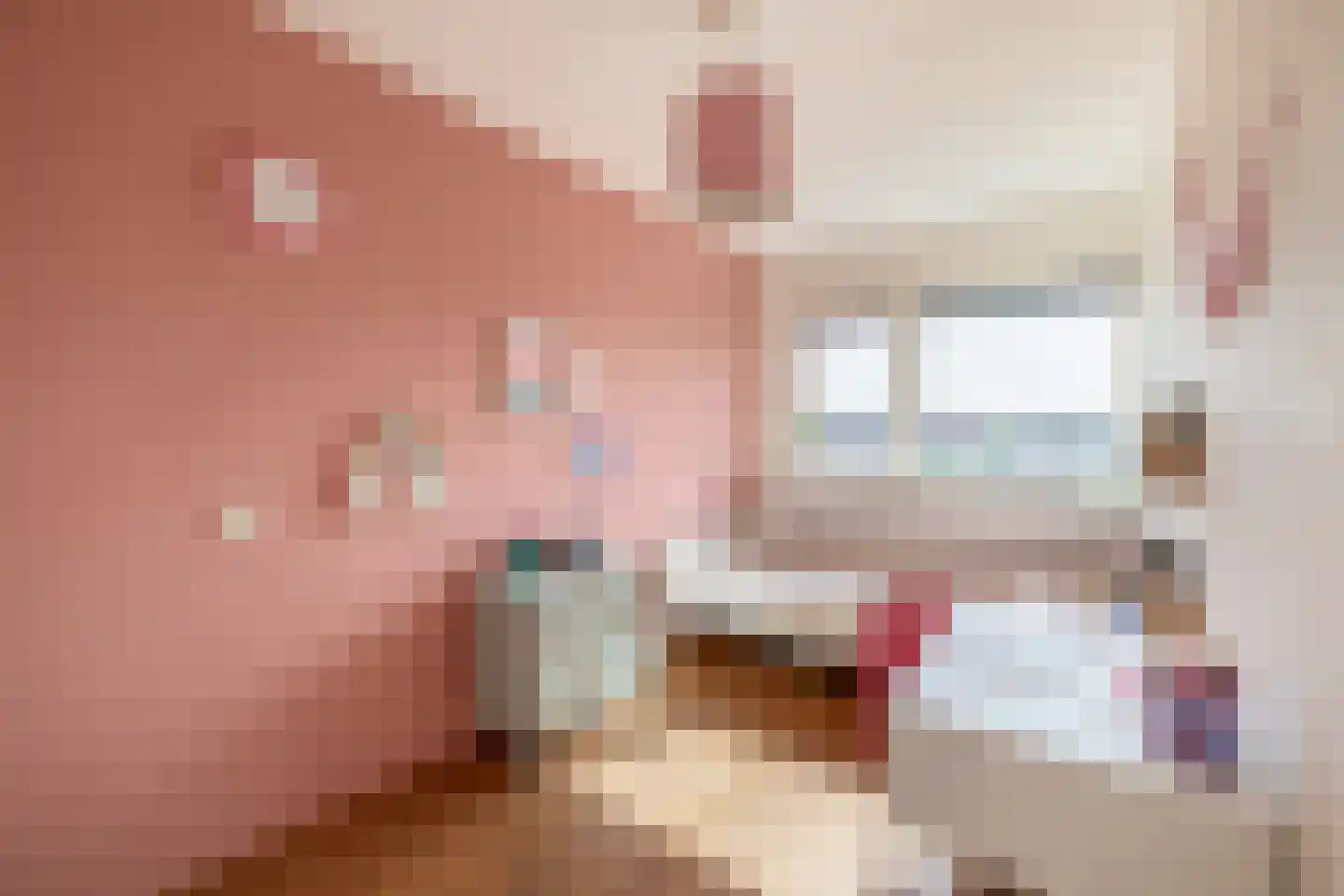 Chopinstraat 55 Lisse thumbnail 24