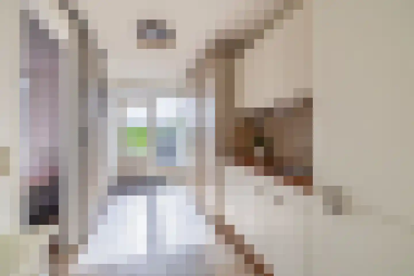 Chopinstraat 55 Lisse thumbnail 30