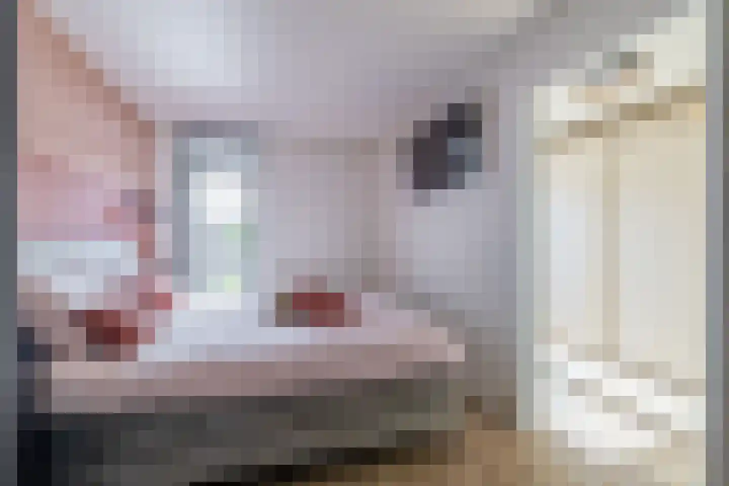 Chopinstraat 55 Lisse thumbnail 31