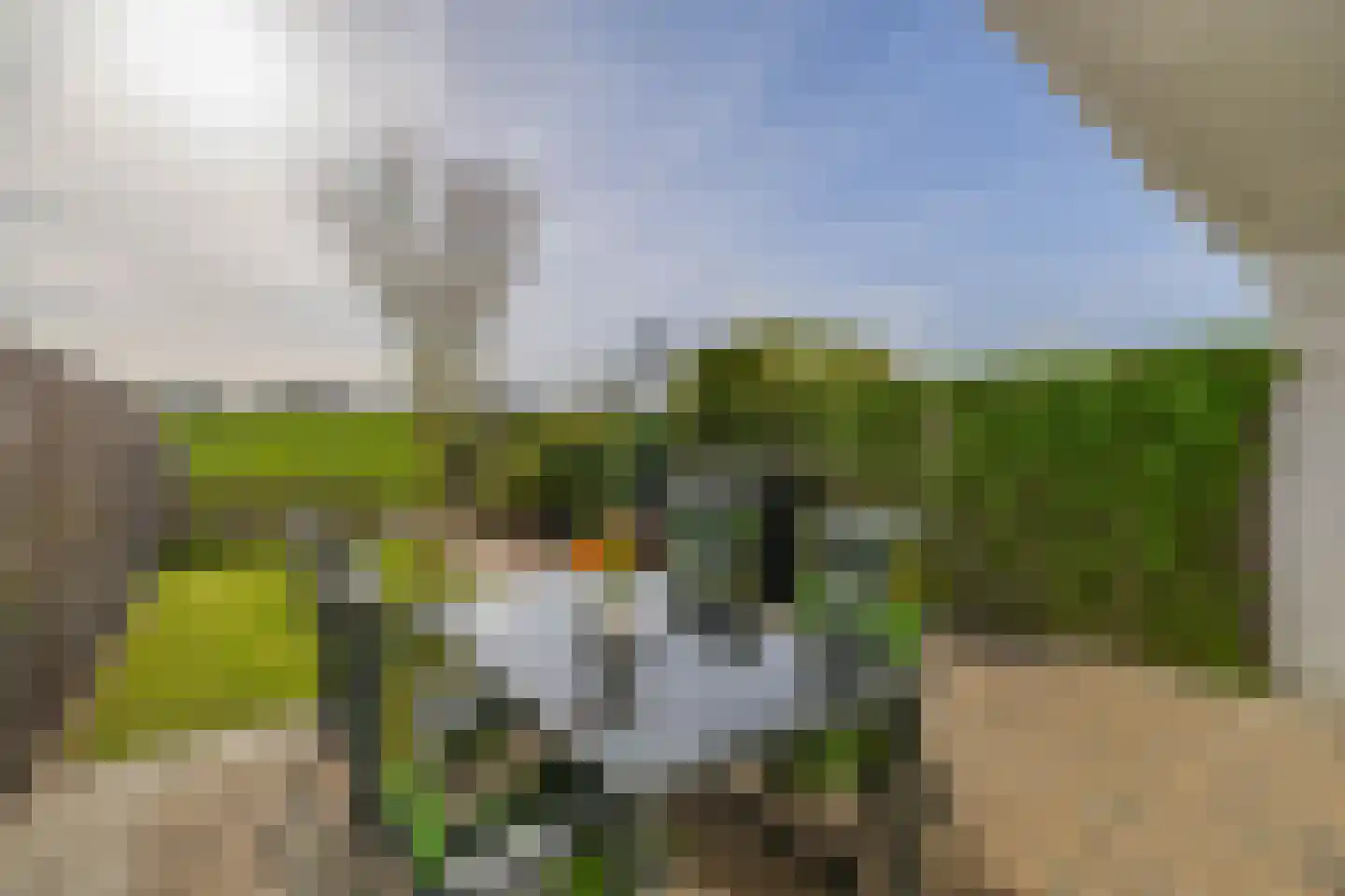 Chopinstraat 55 Lisse thumbnail 38