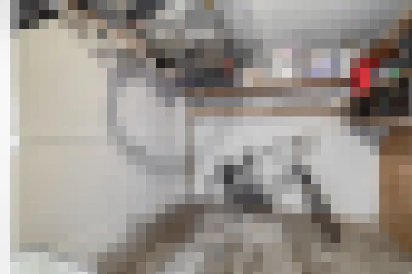 Chopinstraat 55 Lisse thumbnail 45