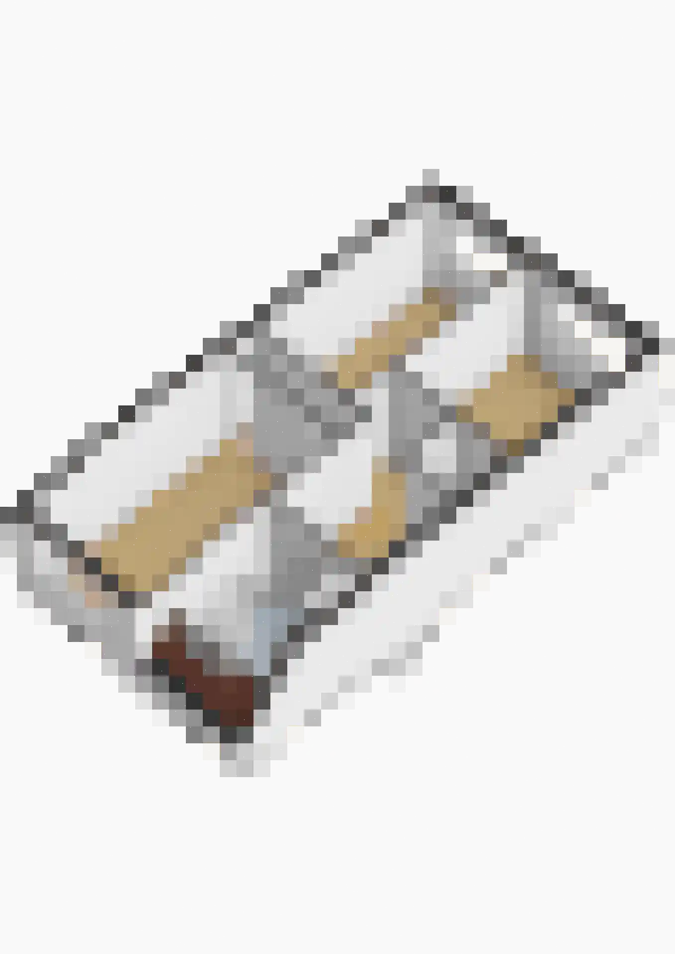 Chopinstraat 55 Lisse thumbnail 65