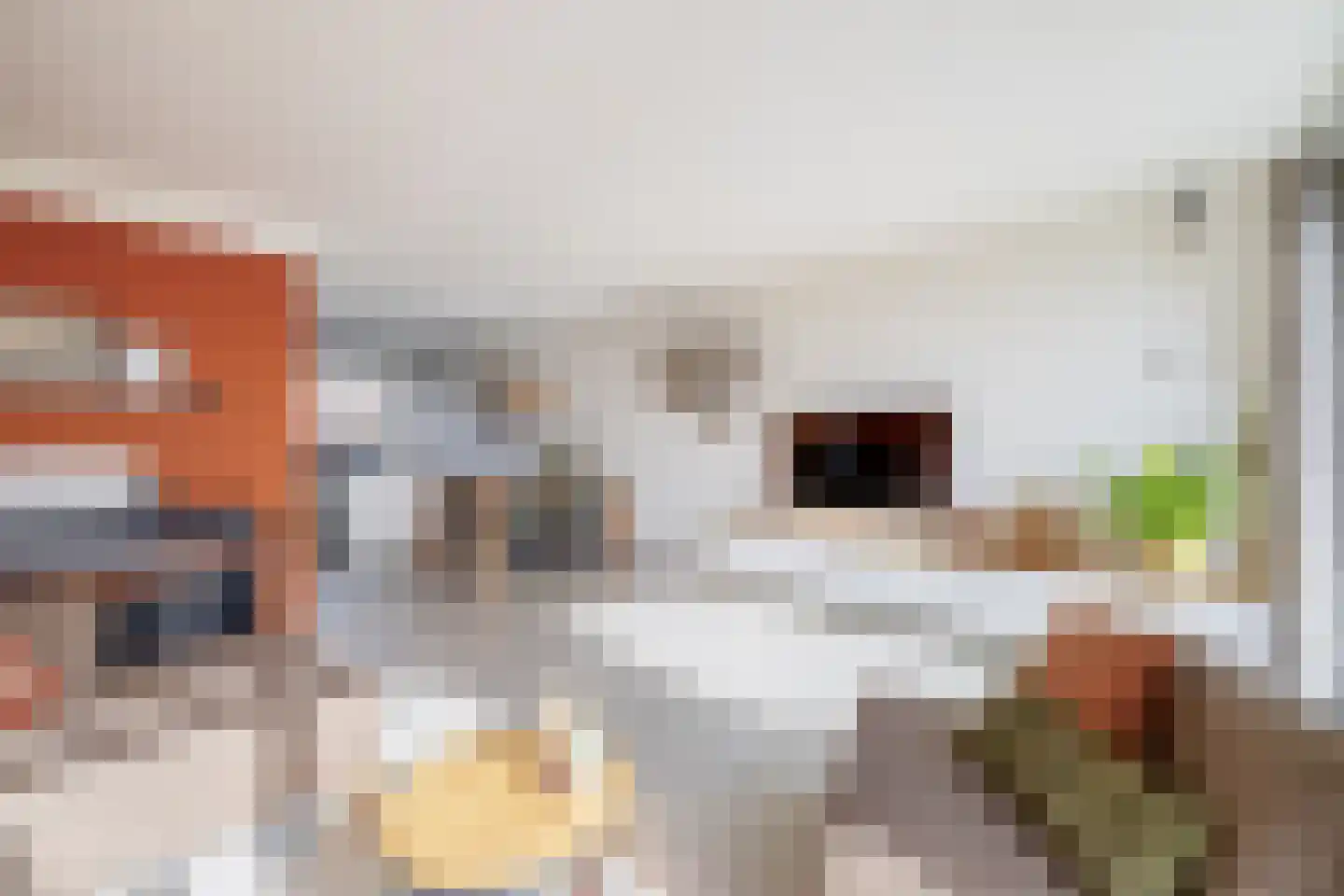 Chopinstraat 55 Lisse thumbnail 8