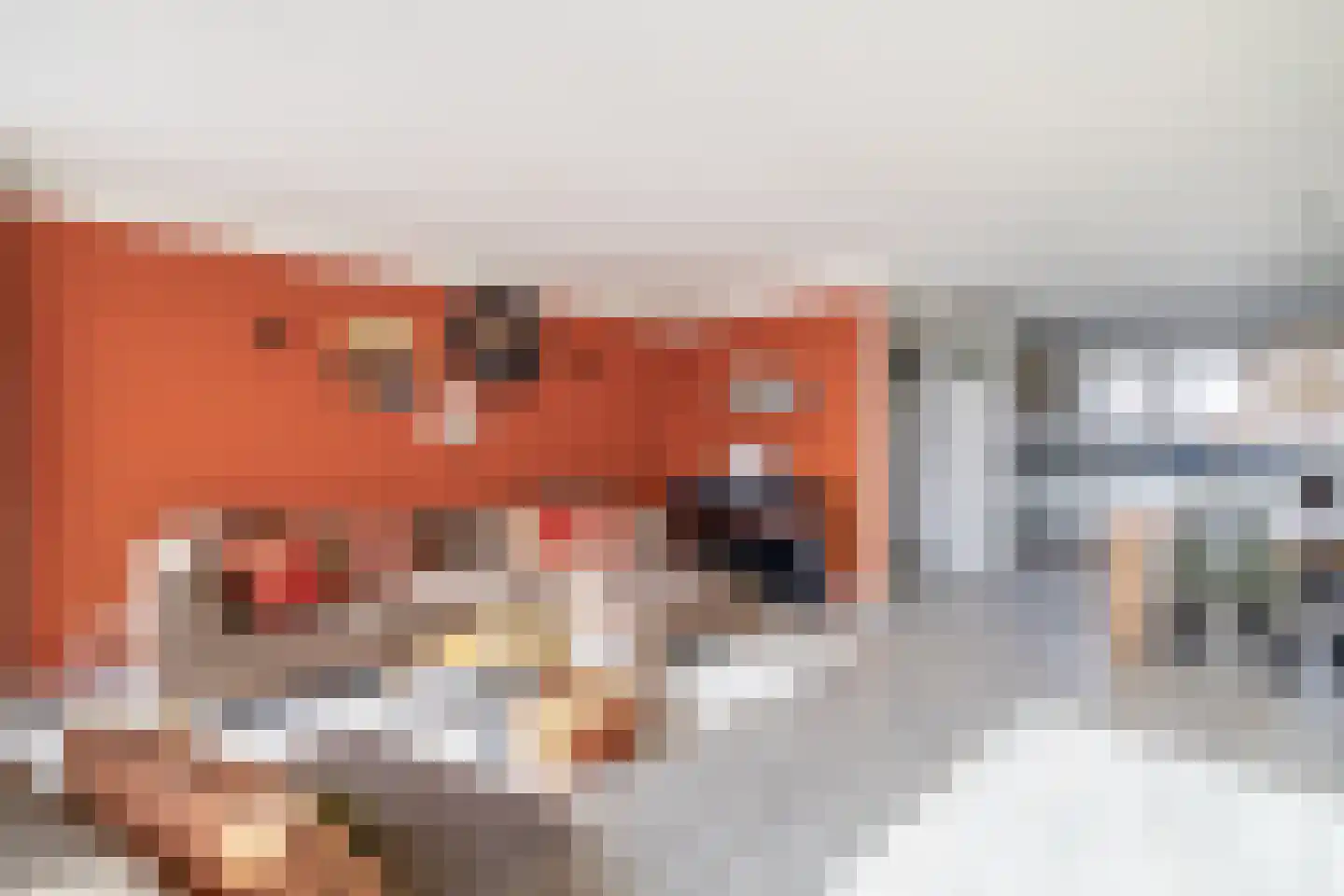 Chopinstraat 55 Lisse thumbnail 9