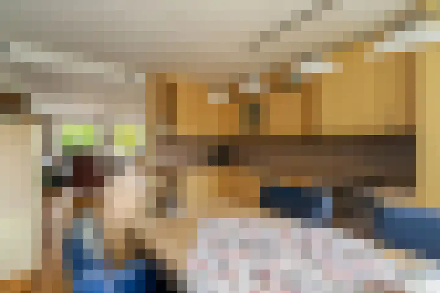 Chopinstraat 59 Capelle aan den IJssel thumbnail 14