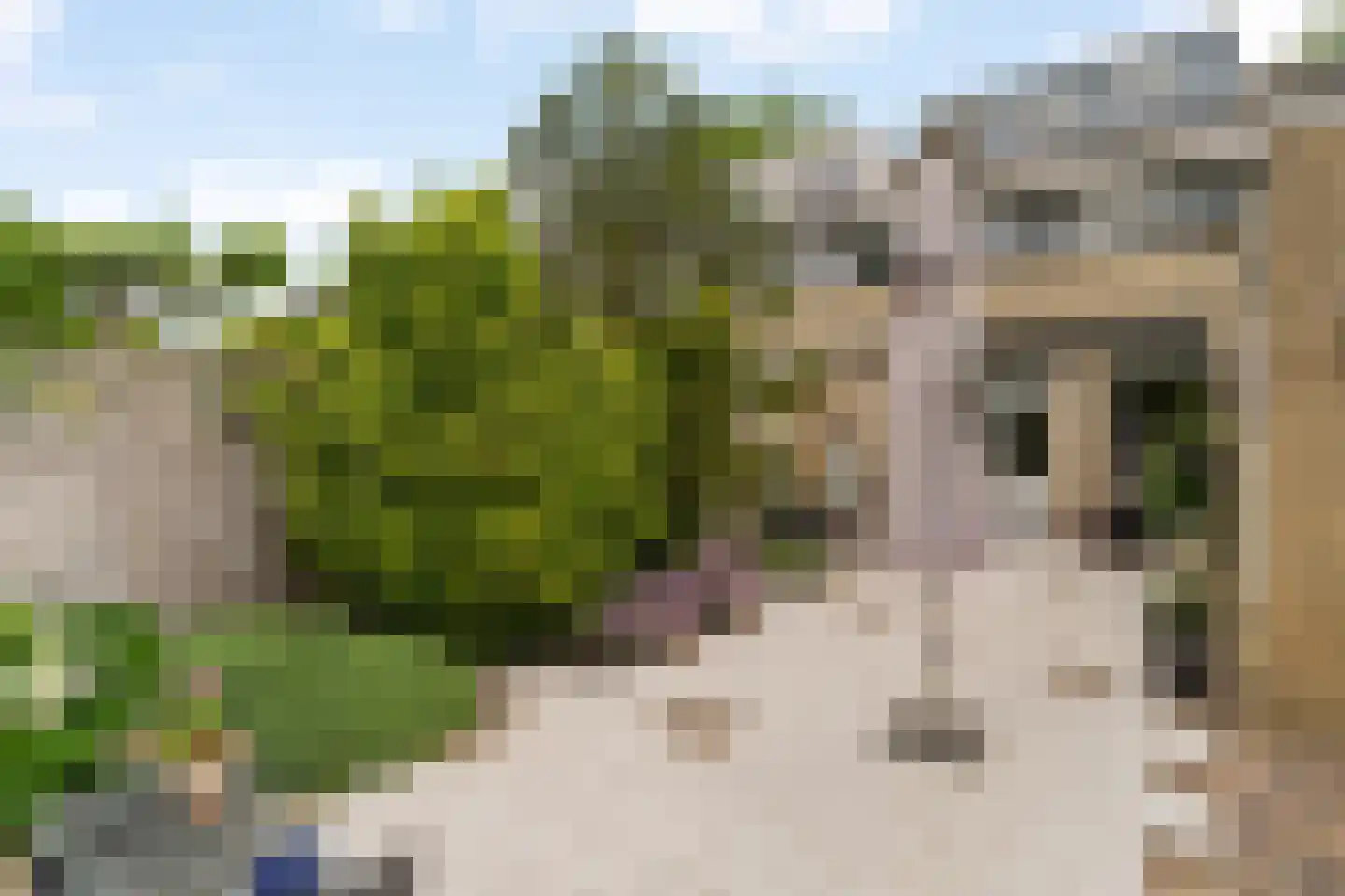 Chopinstraat 59 Capelle aan den IJssel thumbnail 32