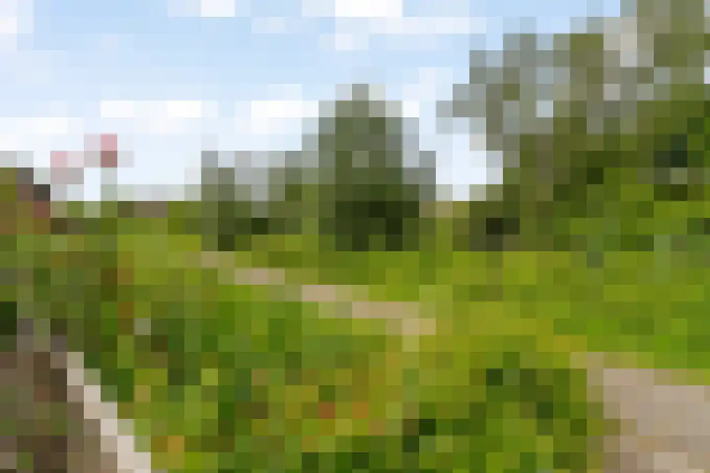 Chopinstraat 59 Capelle aan den IJssel thumbnail 33