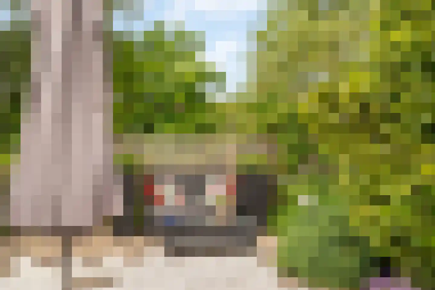 Chopinstraat 59 Capelle aan den IJssel thumbnail 33