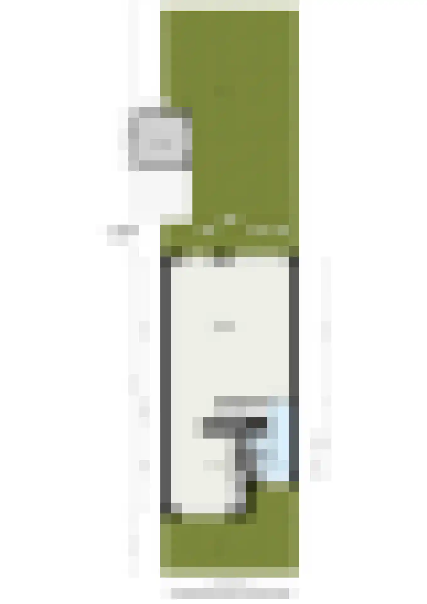 Chopinstraat 59 Capelle aan den IJssel thumbnail 37
