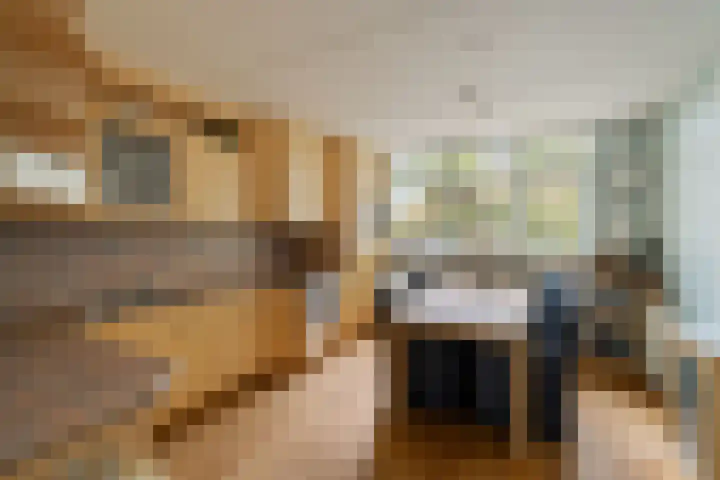 Chopinstraat 59 Capelle aan den IJssel thumbnail 5