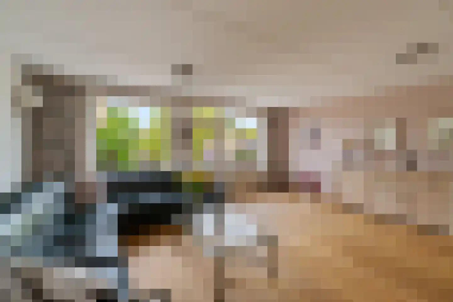 Chopinstraat 59 Capelle aan den IJssel thumbnail 7