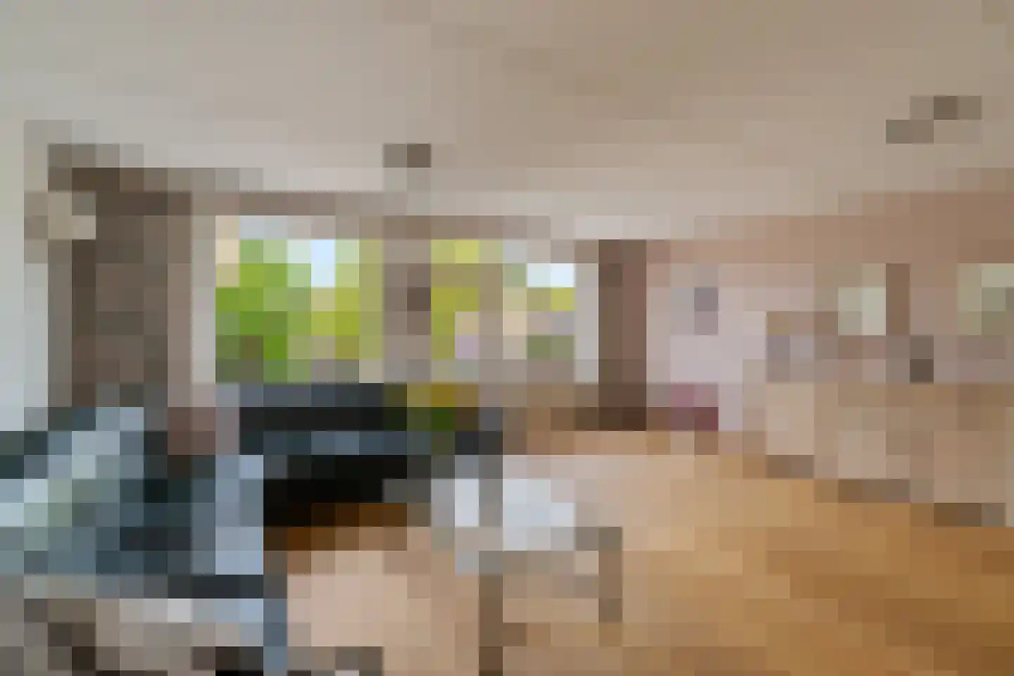 Chopinstraat 59 Capelle aan den IJssel thumbnail 9
